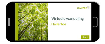 Inverde – Content Creation virtual excursion Hallerbos