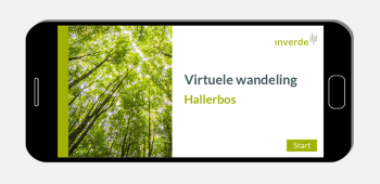 Inverde – Content Creation virtual excursion Hallerbos